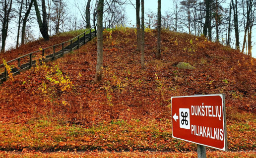 8_Dukštelių, Senojo Dūkšto piliakalnis su gyvenviete (1).jpg